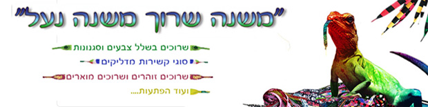 יעל חפר, פריי סטייל, עבודות גרפיות, בניית אתרים, אתר, באנר, חוברת, פלייר, כרטיס ביקור, אריזה, סטאנד, חוברת, עיצוב חוברת, עיצוב לוגו, עיצוב אתר, בניית אתר, בונה אתרים, בניית אתרים, מעצבת, מעצבת גרפית, מעצב גרפי, מעצב, פריי סטייל, סטייל, פריי